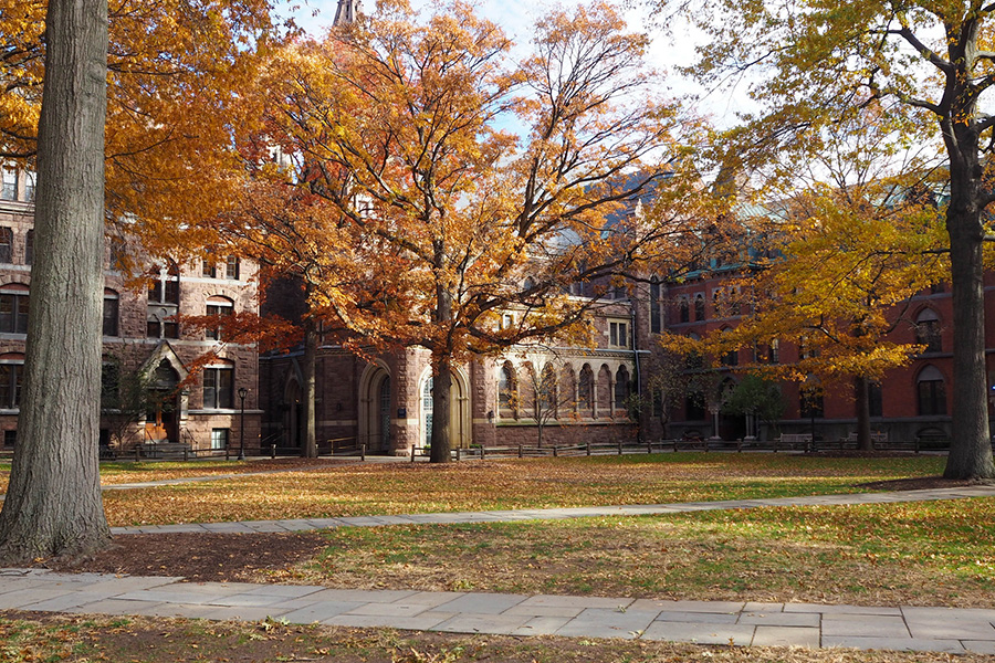yale campus fall
